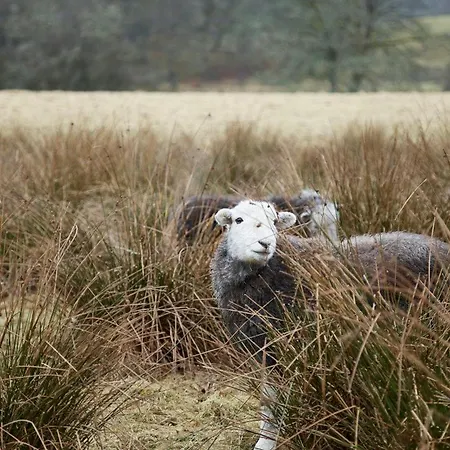 The Little * Chapel Stile